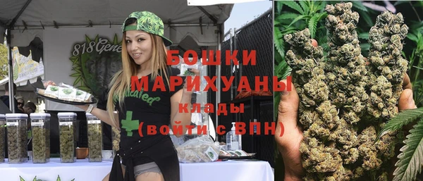 дурь Алзамай