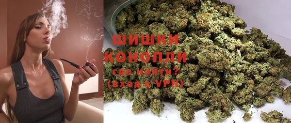 дурь Алзамай