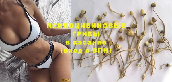 бошки Болотное